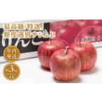 ふるさと納税 【レビューキャンペーン】年内 最高級「特選」 糖度選別サンふじ 約3kg 【青森県 平川市 JA津軽みらい 12月】青森 青森県産 平川 .. 青森県平川市
