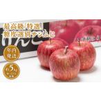 ふるさと納税 【レビューキャンペーン】年内 最高級「特選」 糖度選別サンふじ 約5kg 【青森県 平川市 JA津軽みらい 12月】青森 青森県産 平川 .. 青森県平川市