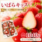 いちご いばらキッス 完熟 約1040g