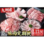 九州産豚肉 生活応援定期便 計13.95kg