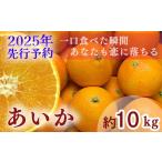 ふるさと納税 【 2025年 先行予約 】【訳あり】農家直送 名前だけが訳あり あいか 10kg 家庭用 | 紅まどんな と同種 みかん 愛媛 松山 フルーツ .. 愛媛県松山市