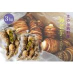 京の伝統野菜 海老芋 3kg