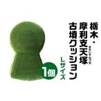 栃木 摩利支天塚 まりしてんづか 古墳クッション