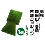 島根 岡田山1号墳 おかだやまいちごうふん