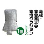 島根 古曽志大谷 こそしおおたに 1号墳クッション