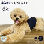 日本製 pancia Souffle シルク