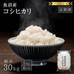ブランド米 魚沼産コシヒカリ 米 コメ こめ