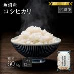 ブランド米 魚沼産コシヒカリ全12回