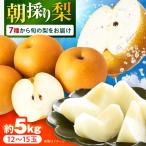梨 旬の梨 約5kg