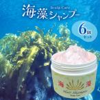 海藻 シャンプー 6個