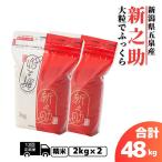 新之助 4kg