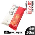 新之助 5kg