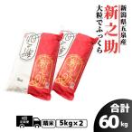 新之助 10kg