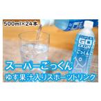 ドリンク ゆずのスポーツドリンク スーパーごっくん500ml×24