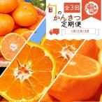 果物類 みかん 全3回 紀州和歌山産旬の柑橘定期便
