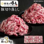 豚 切り落とし 500g×6パック