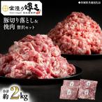 豚 切り落とし&挽肉 贅沢セット 各500g×2パック