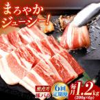 焼肉用 豚バラ肉 総計7.2kg NAC605