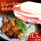 ブロック 豚バラ肉 ブロック肉 総計9kg