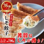 餃子専門店 宇都宮 悟空 しそ餃子 22g×36個入