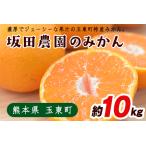 坂田農園のみかん 約10kg