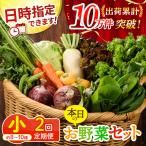 日時指定OK 本日のお野菜セット 小サイズ