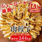 餃子専門店 宇都宮 悟空 肉餃子 22g×120個入