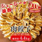 ふるさと納税 餃子専門店 宇都宮 悟空 肉餃子 22g×200個入｜ 餃子 冷凍 ぎょうざ ギョーザ 大容量 肉たっぷり 肉多め 人気 名物 行列 国.. 栃木県宇都宮市