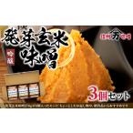 玄米味噌 発芽玄米 信州産