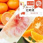 紀州 旬のフルーツ定期便 みかん 清見オレンジ