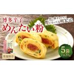 博多辛子めんたい粉 こ 20g×5袋