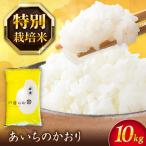 あいちのかおり 白米 10kg