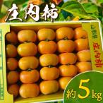 庄内柿 Mサイズ以上 5kg