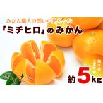 ぎょくだん ミチヒロのみかん 約5kg