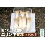 fu.... налог зуб .... вызывающий чувство гордости вёшенка степная большой примерно 800g Gunma префектура болото рисовое поле город 