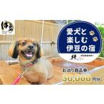 宿泊券 ペットと泊まる宿 修善寺温泉 修善寺絆+