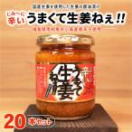 じみーに辛いうまくて生姜ねぇ 20本セット