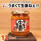 じみーに辛いうまくて生姜ねぇ 12本セット