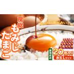 fu.... налог 2 недель в течение . отправка сельское хозяйство место прямая поставка!. общий клен Tama .L размер 20 шт | быстро достигать сразу сразу отправка три ветка сельское хозяйство место красный яйцо красный шар яйцо Tama .L размер ... Chiba префектура . Цу город 