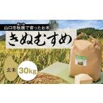 A101 あいお 秋穂 で育ったお米 きぬむすめ