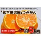 みかん 5kg