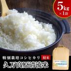 コシヒカリ5kg×1袋 精米 久万高原清流米