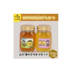 はちみつ 山と海のはちみつセット 500g×2個