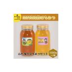 はちみつ 山と海のはちみつセット 1000g×2個