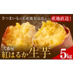 紅はるか サツマイモ 芋 5kg