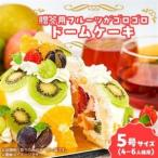 フルーツshopこだわり フルーツゴロゴロドームケーキ