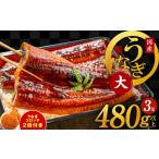 ふるさと納税 国産うなぎ 3尾 480g以上 大サイズ うなぎコロッケ 2個付き【えびす鰻 うなぎ ウナギ 国産 泉佐野産 1尾160g以上 蒲焼き かばや.. 大阪府泉佐野市