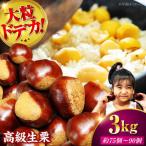 栗 3kg