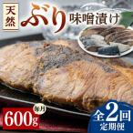 天然 ぶり 味噌漬け対馬産 ブリ 天然ブリ 魚