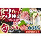 対馬 イカ 姿造り と 刺身のセット 新鮮 いか